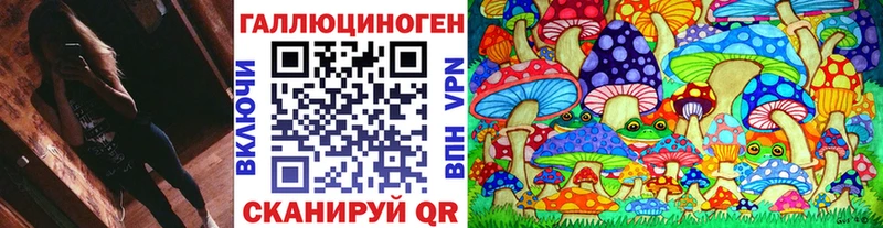 Галлюциногенные грибы Psilocybine cubensis  Шадринск 