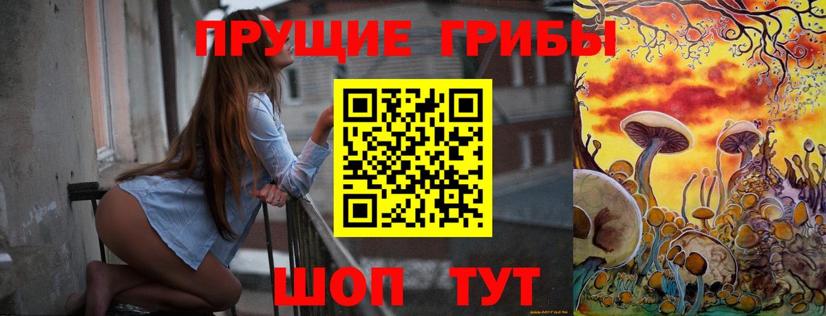 Шадринск  Галлюциногенные грибы MAGIC MUSHROOMS  Вход с VPN  Псилоцибиновые грибы Psilocybe 