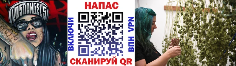 МАРИХУАНА OG Kush  Шадринск 